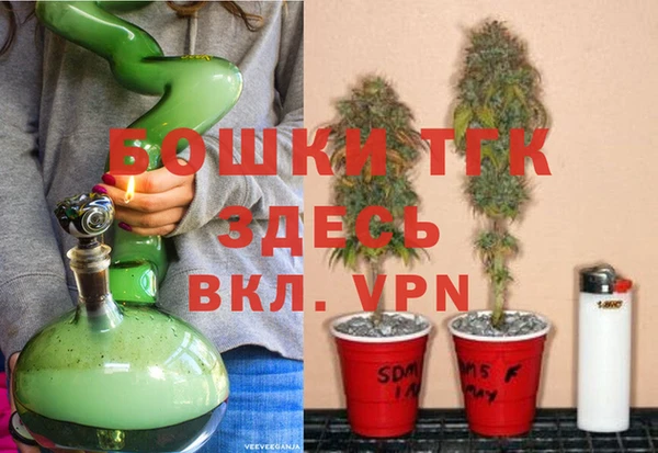 PSILOCYBIN Вяземский