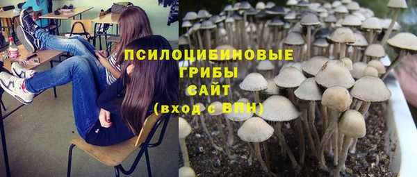 соль ск Магас