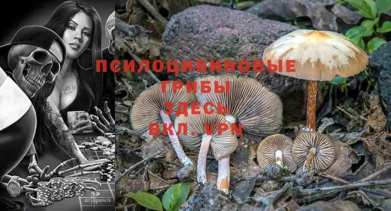 Псилоцибиновые грибы Magic Shrooms  Добрянка 