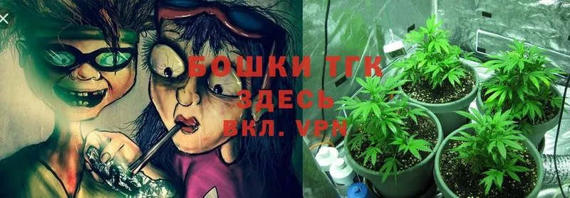 где можно купить наркотик  Добрянка  Каннабис SATIVA & INDICA 