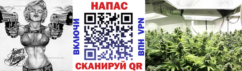 Марихуана ГИДРОПОН  купить  сайты  Добрянка 