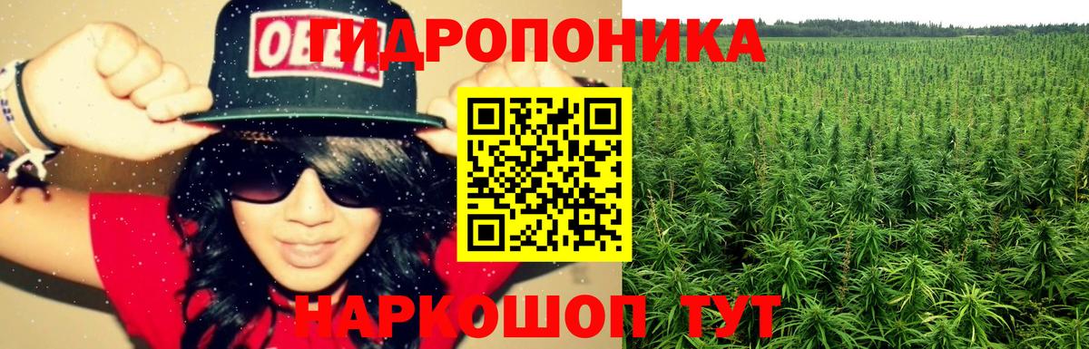 Бошки Шишки марихуана Добрянка